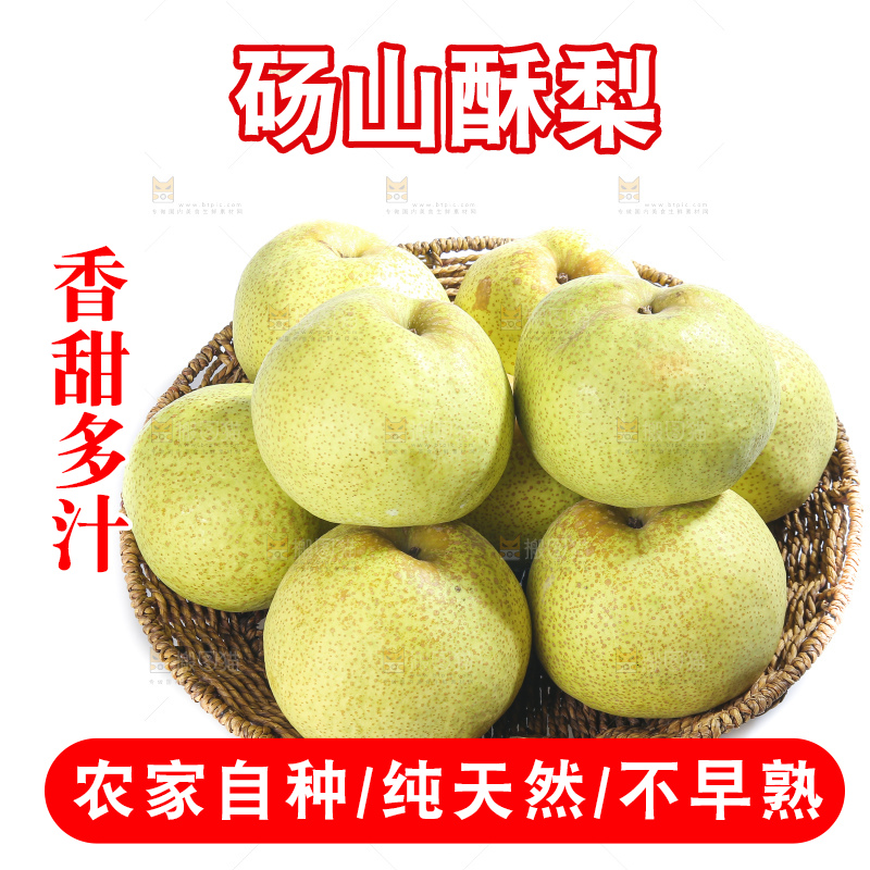 白底上的砀山酥梨