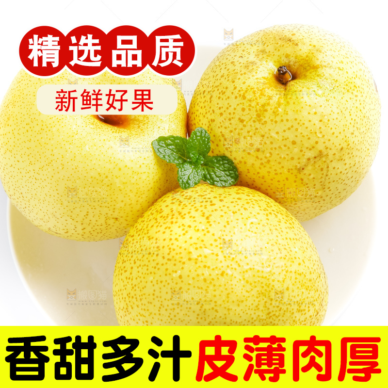 白底上的砀山酥梨