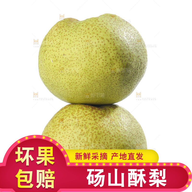 白底上的砀山酥梨