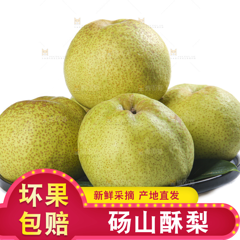 白底上的砀山酥梨
