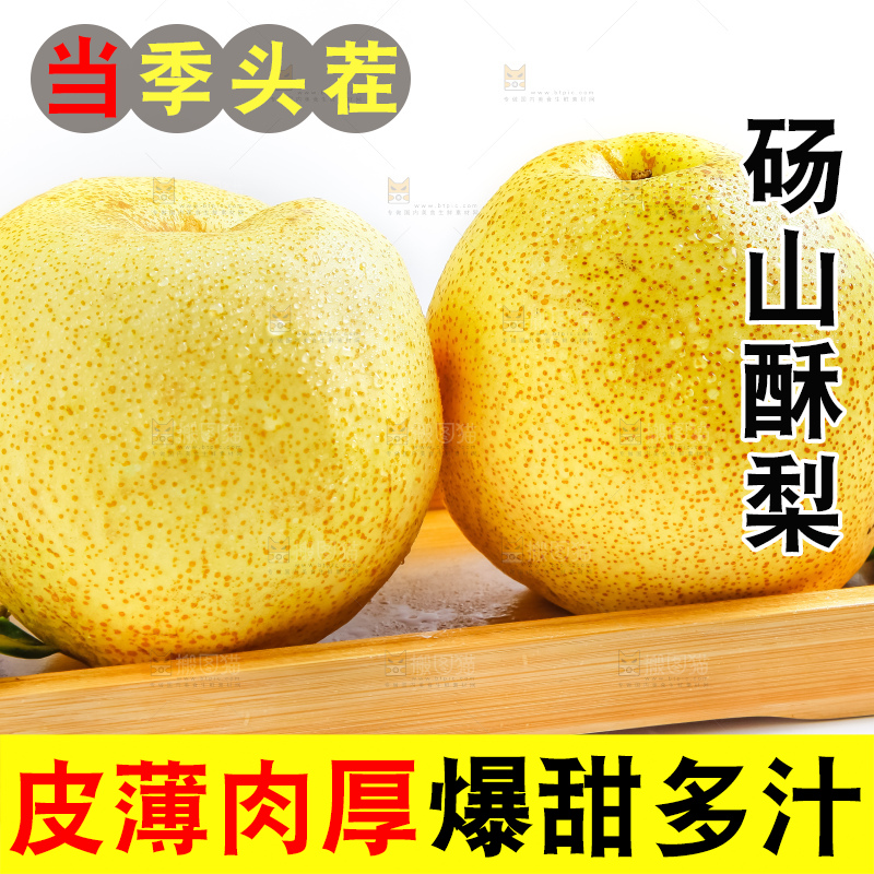 白底上的砀山酥梨
