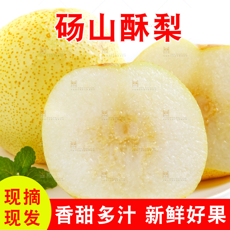 白底上的砀山酥梨