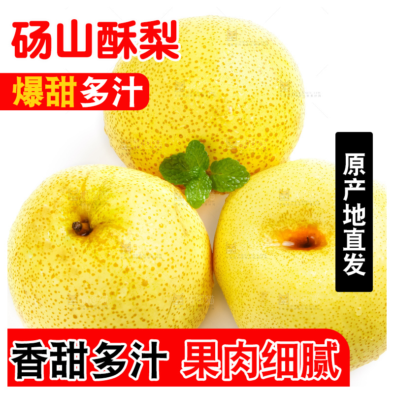 白底上的砀山酥梨