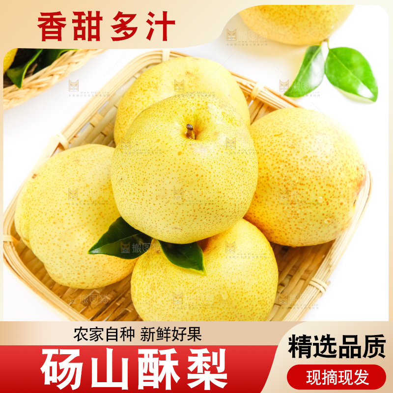 白底上的砀山酥梨