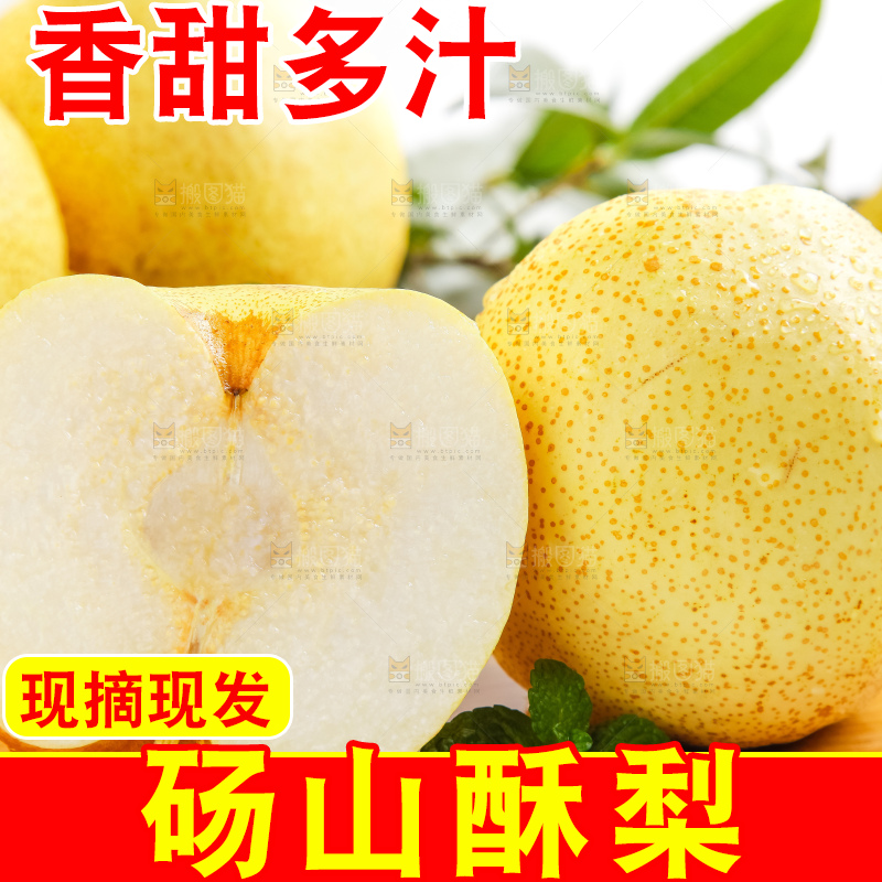 浅底上的砀山酥梨