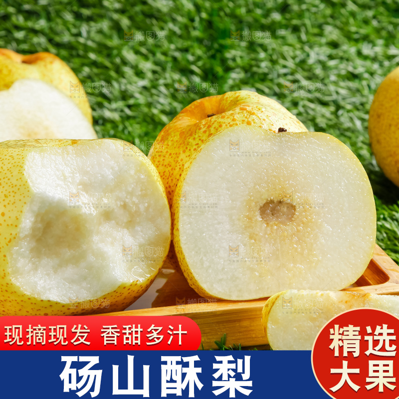 草地上的砀山梨
