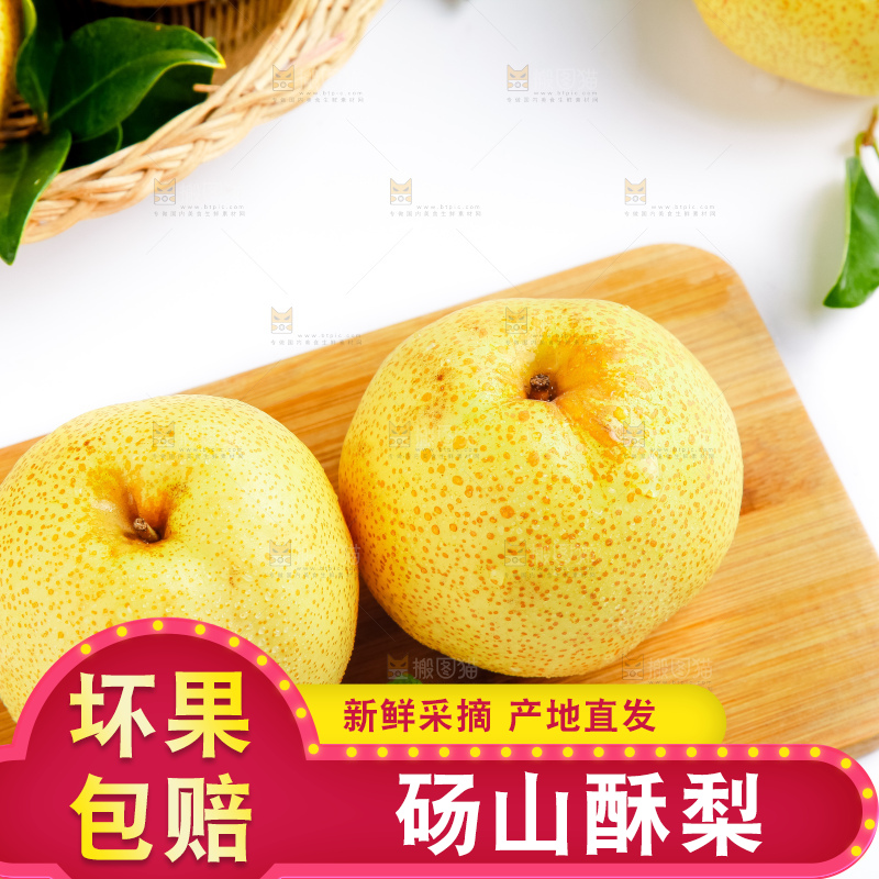 浅底上的砀山酥梨