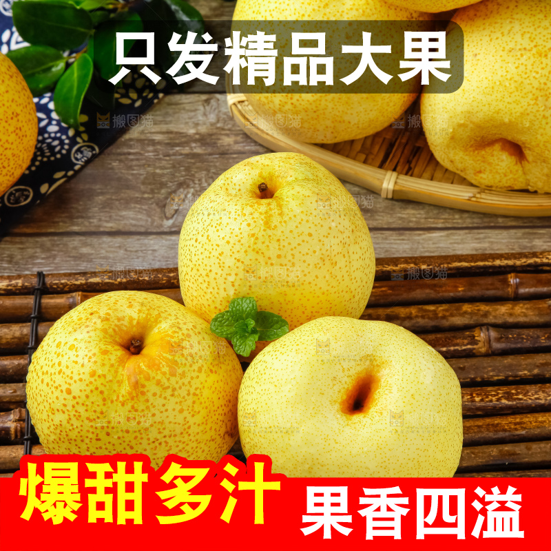 木底上的砀山酥梨