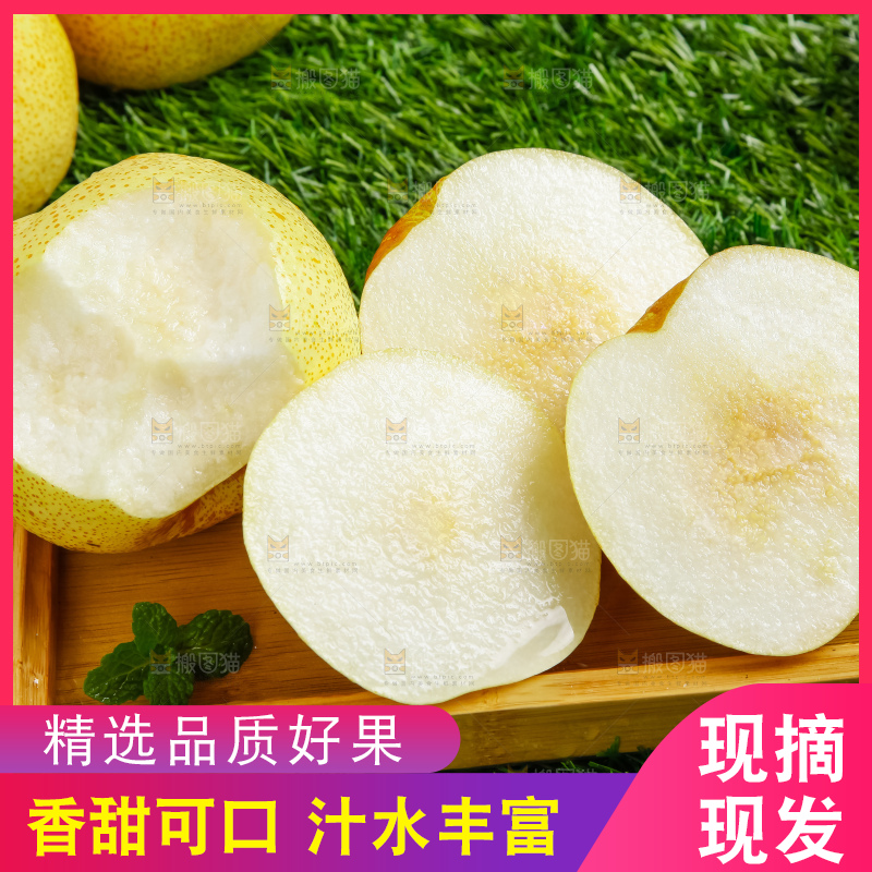 草地上的砀山梨