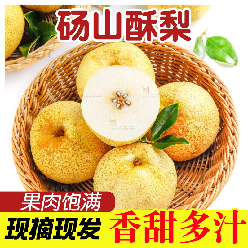 浅底上的砀山酥梨