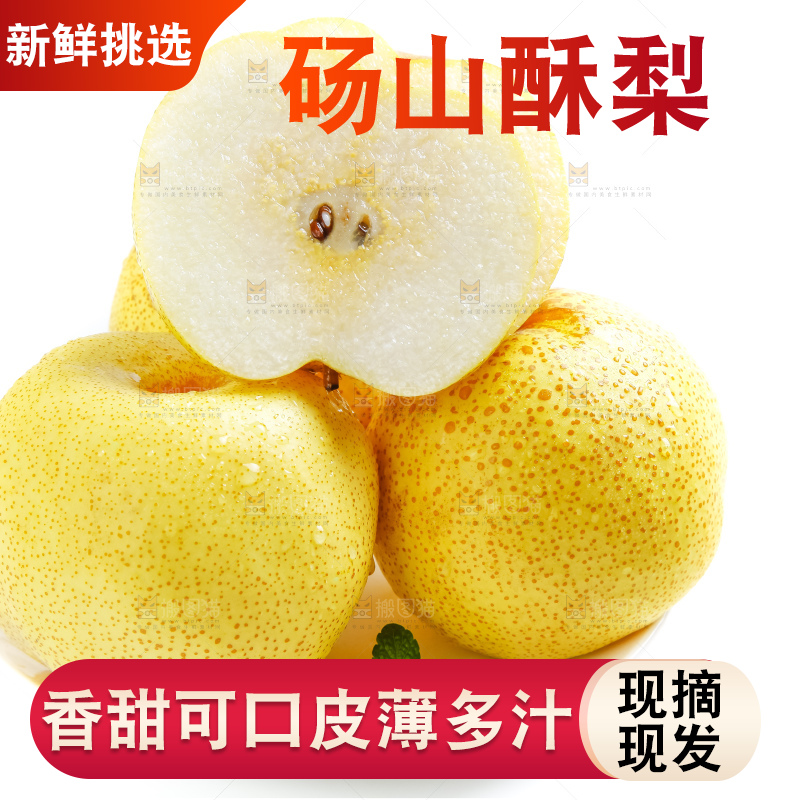 白底上的砀山酥梨