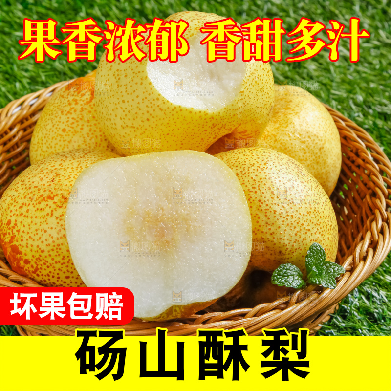 草地上的砀山梨