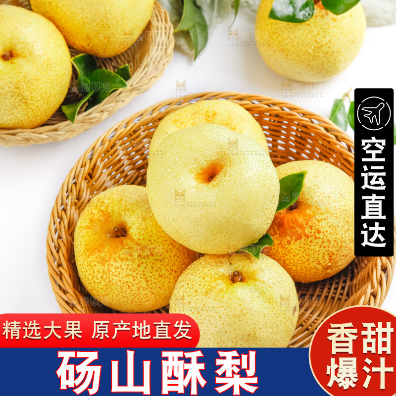 浅底上的砀山酥梨