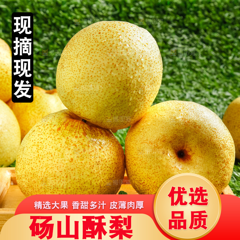 草地上的砀山梨