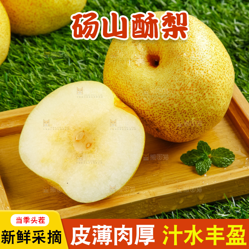 草地上的砀山梨