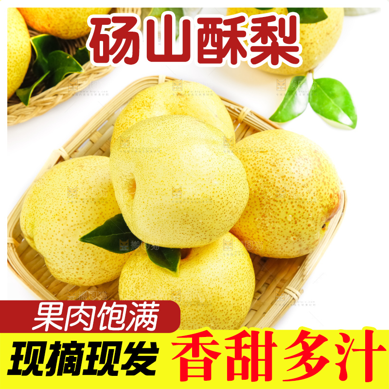 白底上的砀山酥梨