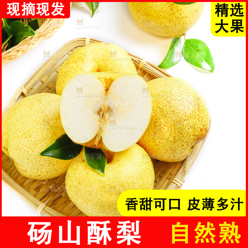 白底上的砀山酥梨