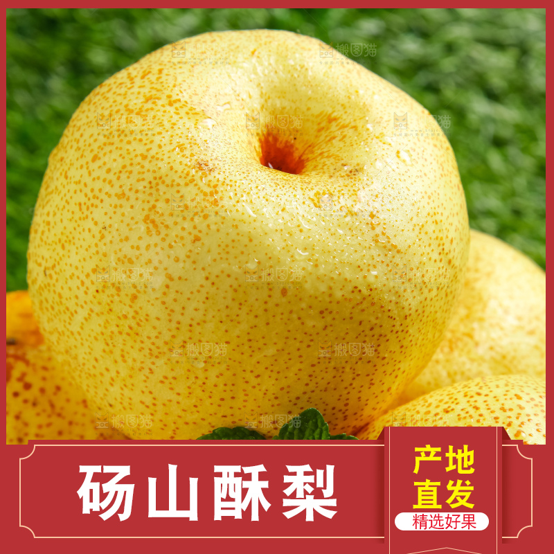 草地上的砀山梨