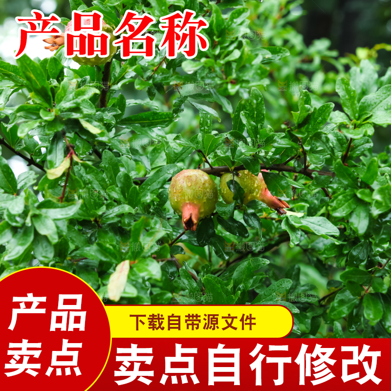树上的新鲜石榴