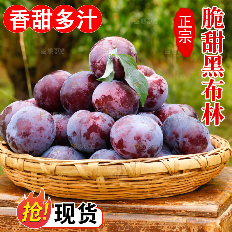 手里拿着现摘黑布李