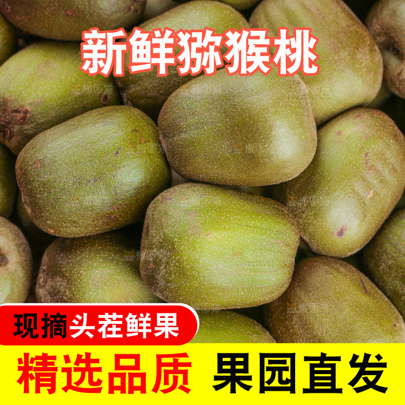 木底上的红心猕猴桃