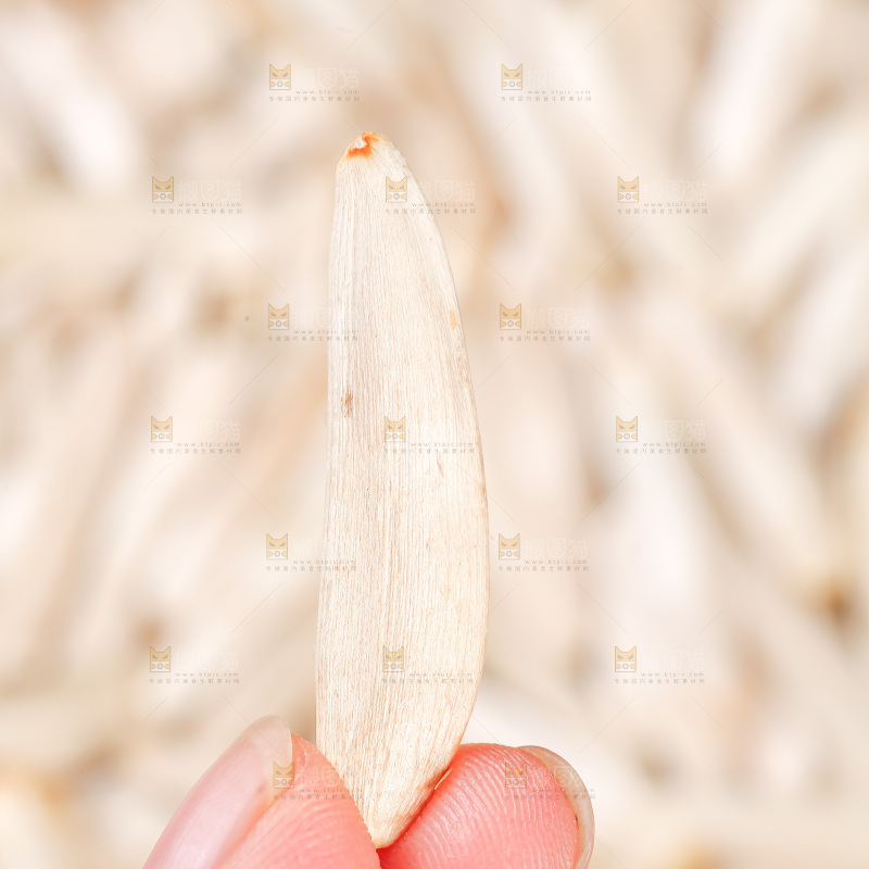 深底上的马牙瓜子