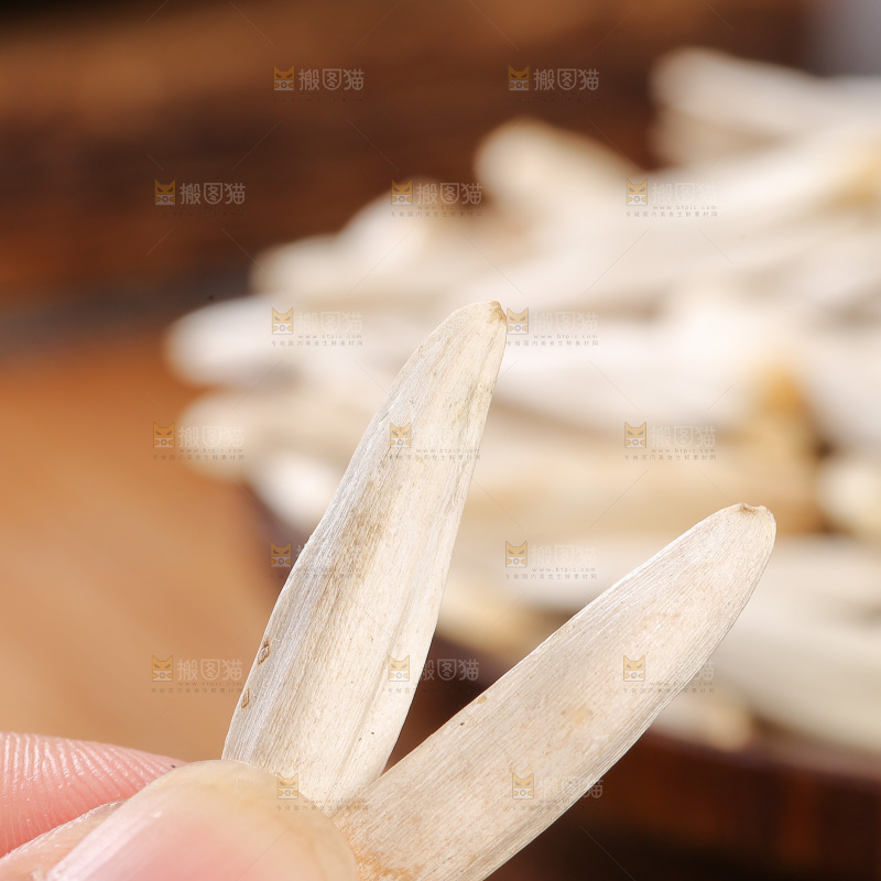 深底上的马牙瓜子