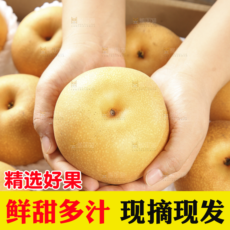 木底上的秋月梨