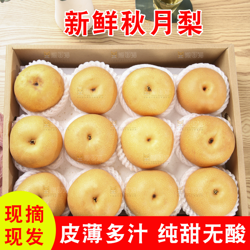 木底上的秋月梨