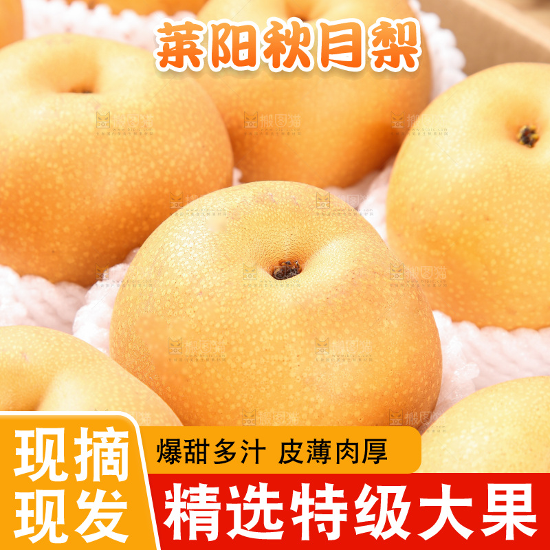 木底上的秋月梨