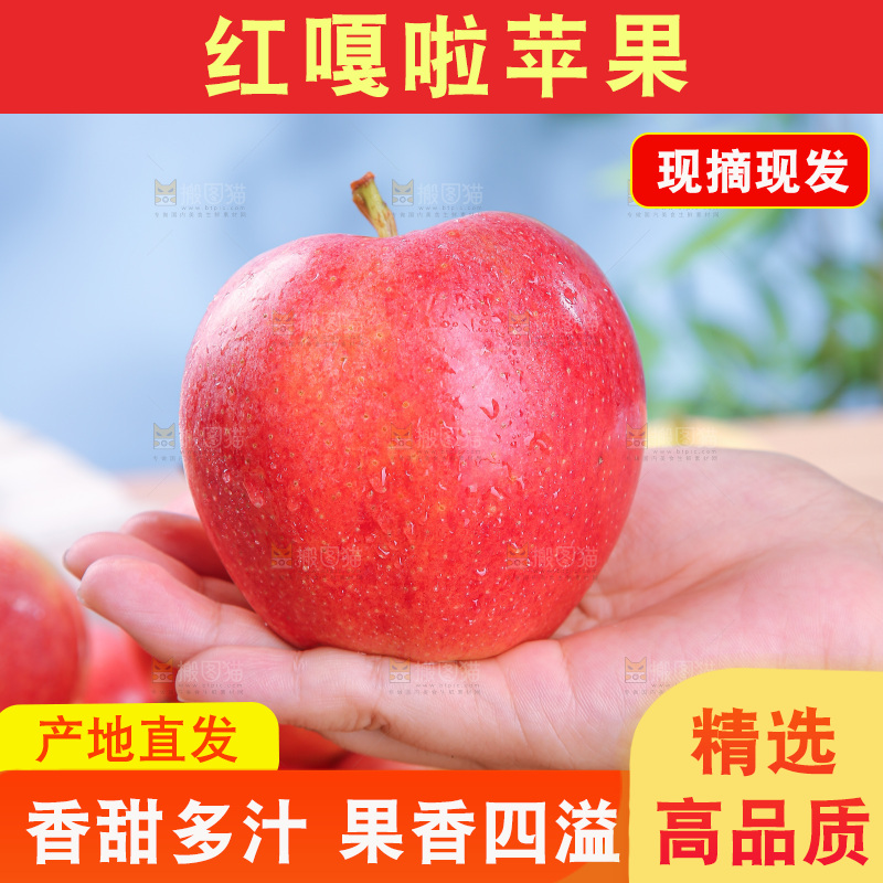 浅底上的红嘎啦苹果