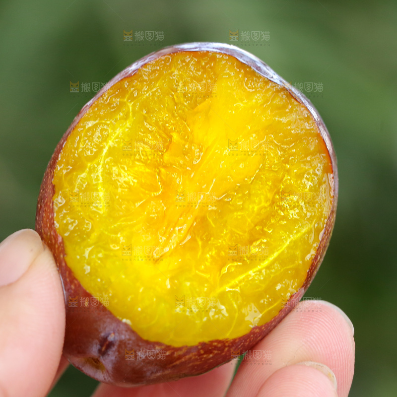 手里拿着新鲜西梅