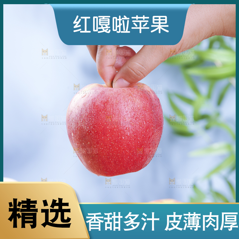 浅底上的红嘎啦苹果