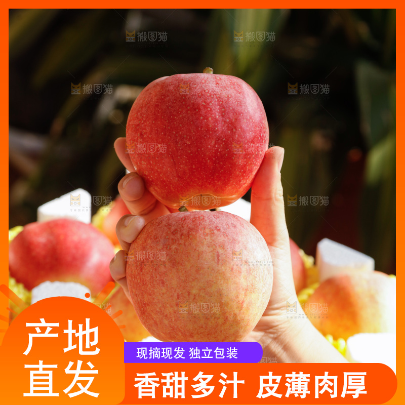 手里拿着红嘎啦苹果