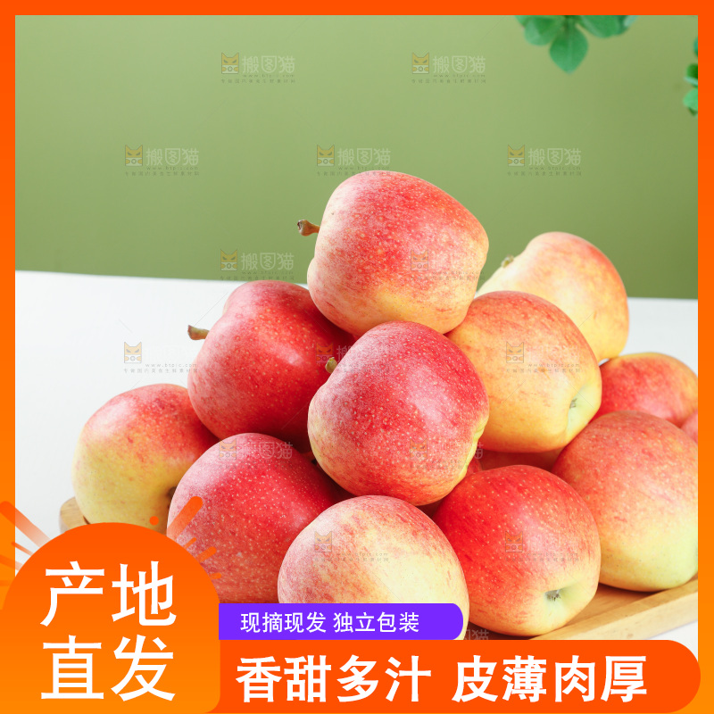 浅底上的红嘎啦苹果