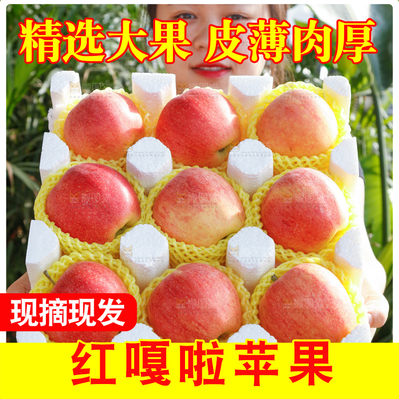 手里拿着红嘎啦苹果