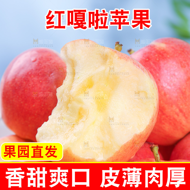 浅底上的红嘎啦苹果