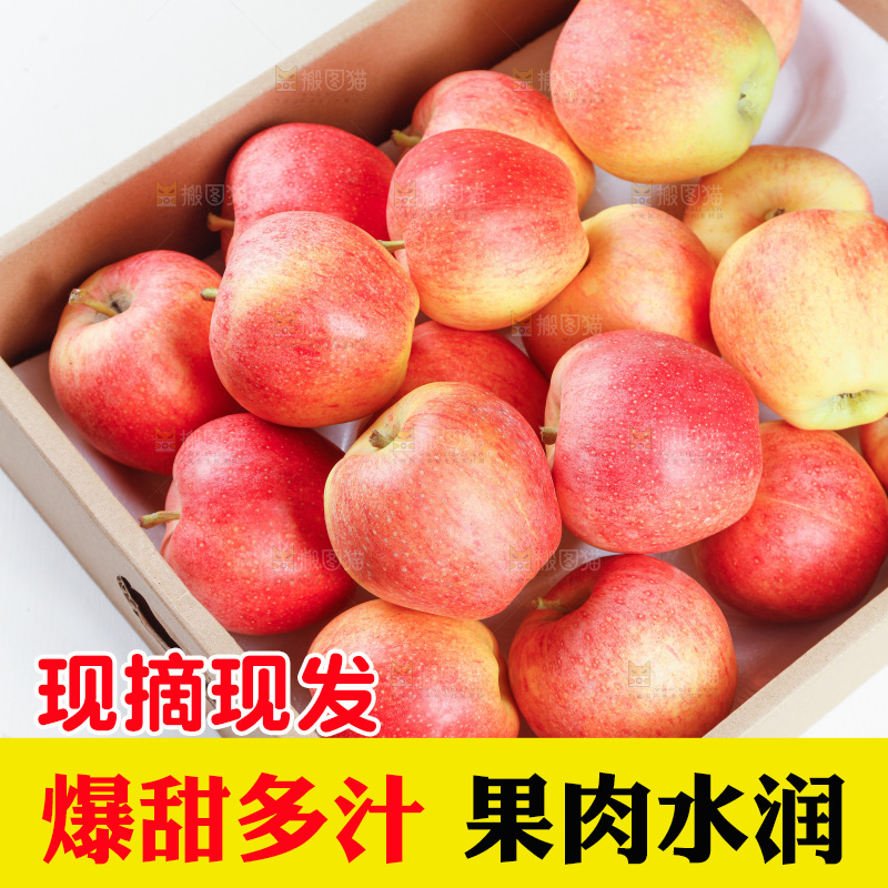 浅底上的红嘎啦苹果