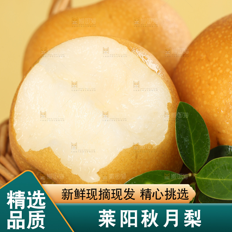 浅底上的秋月梨