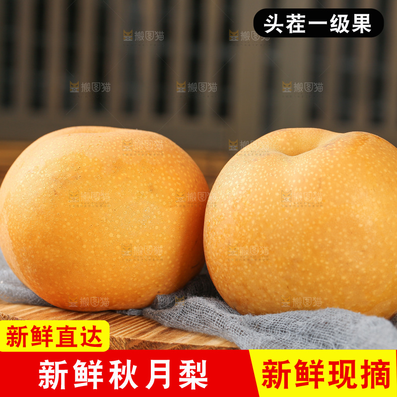 木底上的秋月梨