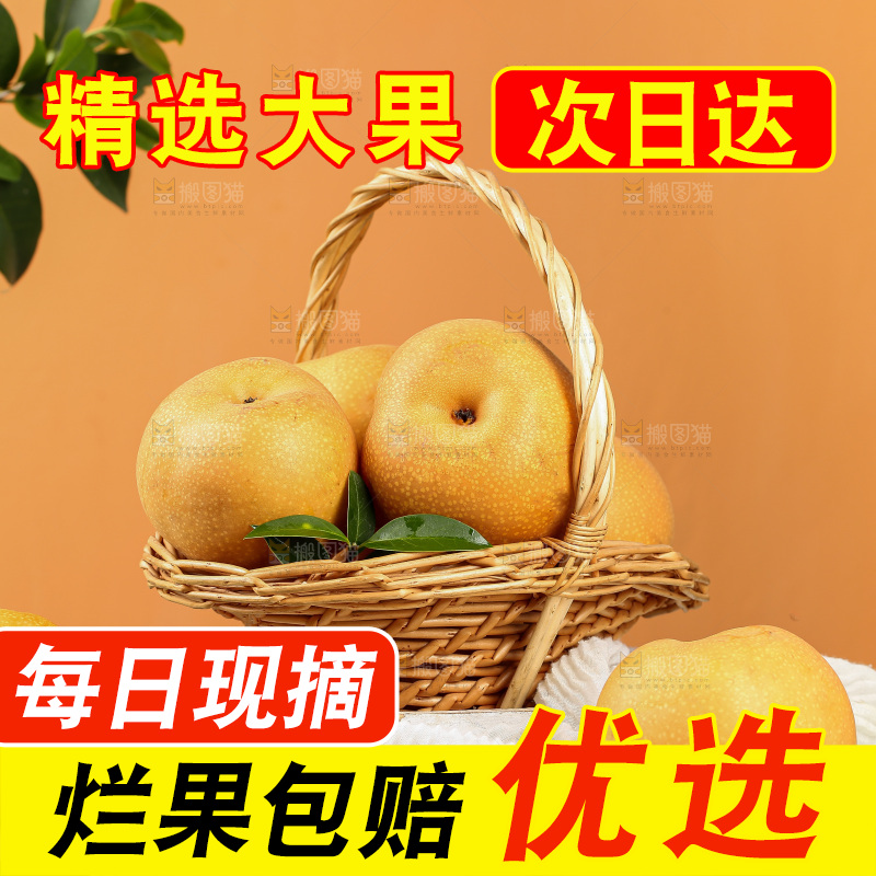 浅底上的秋月梨