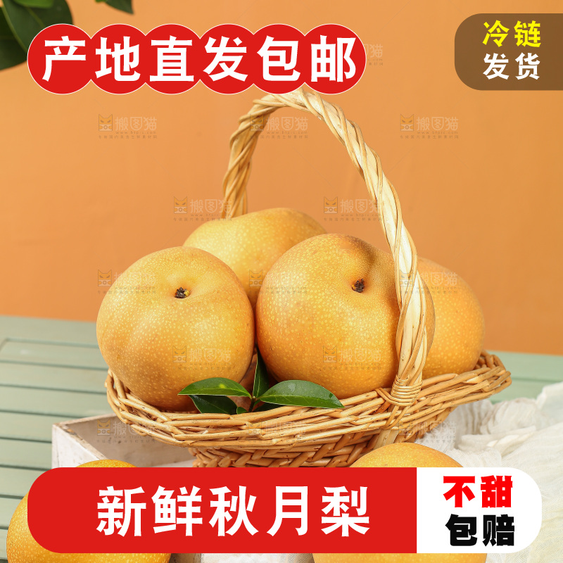 浅底上的秋月梨