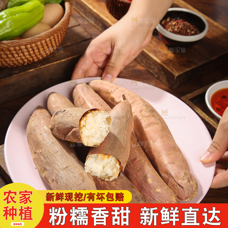 木底上的白心哈密冰糖薯