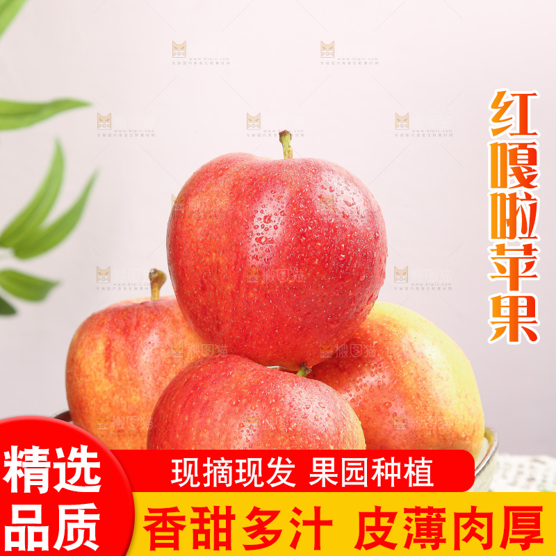浅底上的嘎啦果