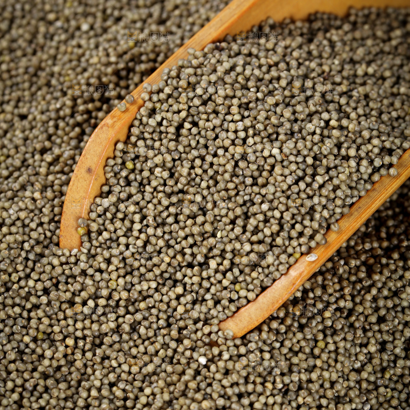 深底上的黑小米