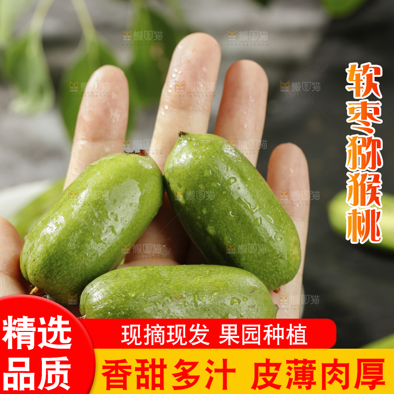 深底上的软枣猕猴桃