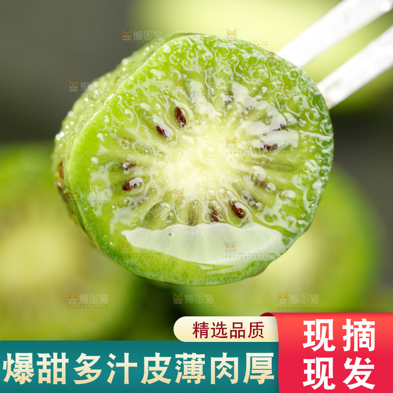 深底上的软枣猕猴桃