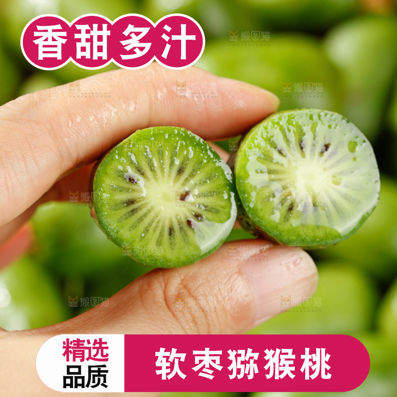 深底上的软枣猕猴桃