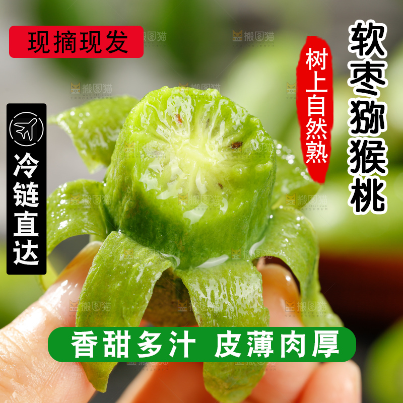 深底上的软枣猕猴桃