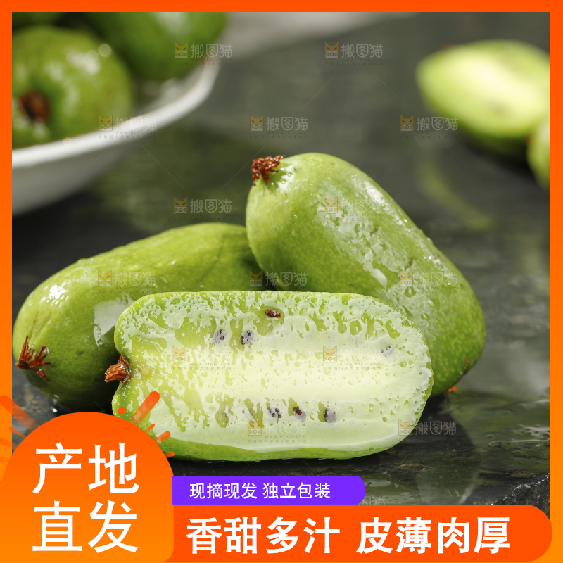 深底上的软枣猕猴桃